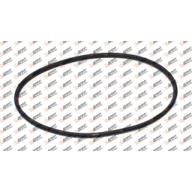 EURO 3 Gömlek Lastiği (Viton) İnce 4579970045