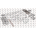 Engine repair kit gasket, 542.100.1, 