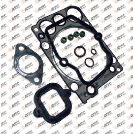 Cylinder repair kit gasket, 541.101.1, 