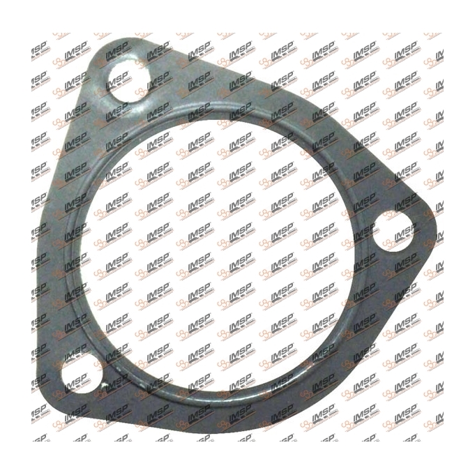 Gasket, IV10.304, 