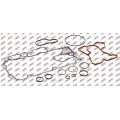 Oil Filter Body Gasket
