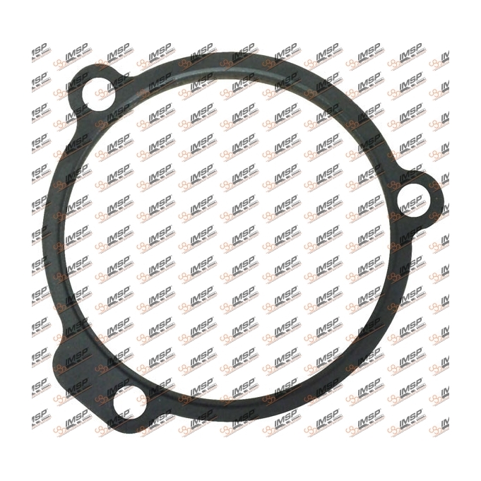 Gasket, IV10.190, 