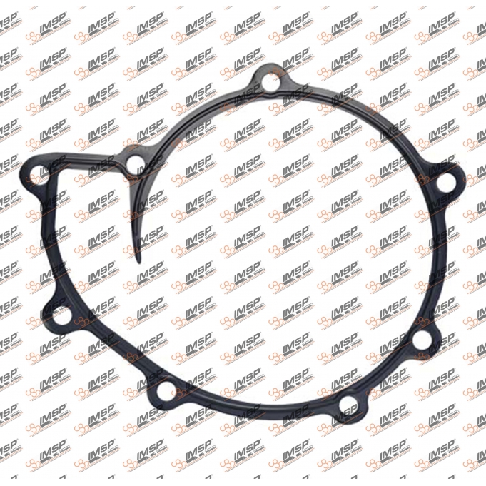 Gasket water pump, 180.131-1, 51069010187, 008971, 71-36711-00