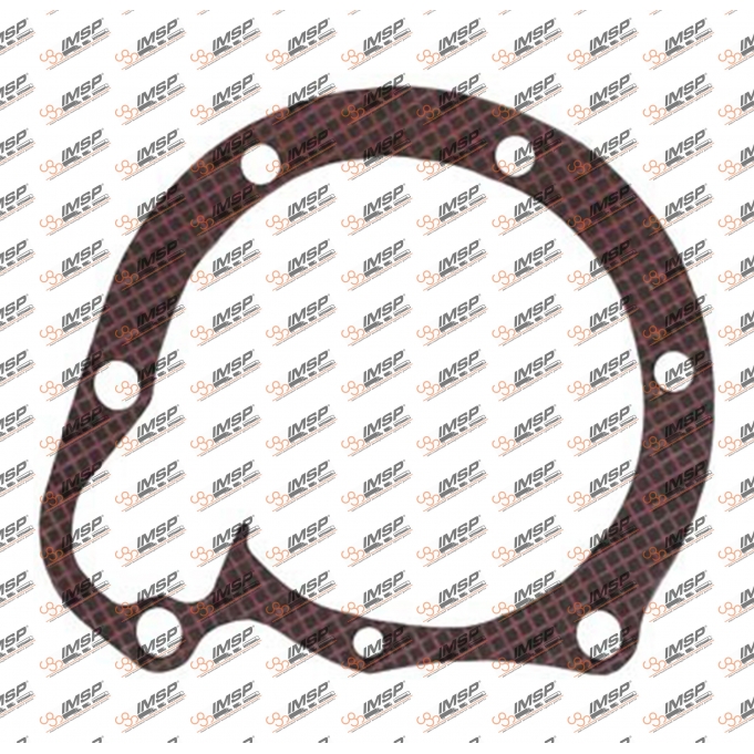 Water pump gasket, 364.131, 