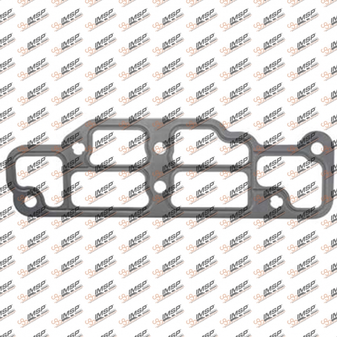 Gasket thermostat, 2066.262-1, 51069040042, 021411