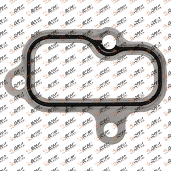 Gasket intake manifold, 240.150, 360751, 713417900, 51089020194