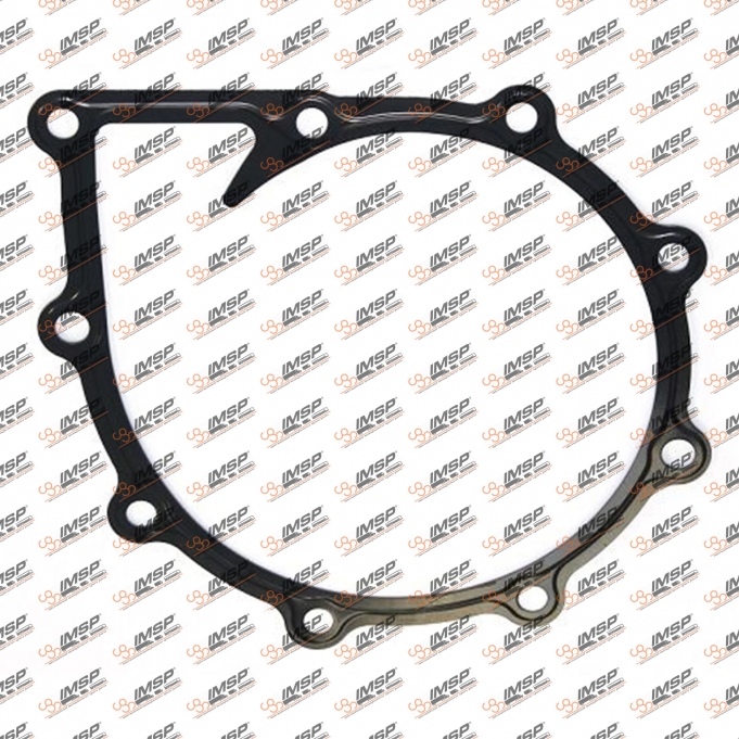 Gasket water pump, 2066.131-1, 021250, 51069010192